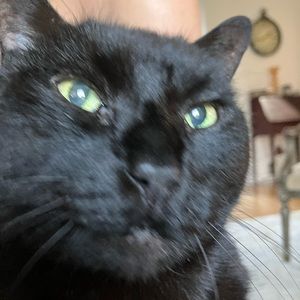 Meet your Posher, Rita